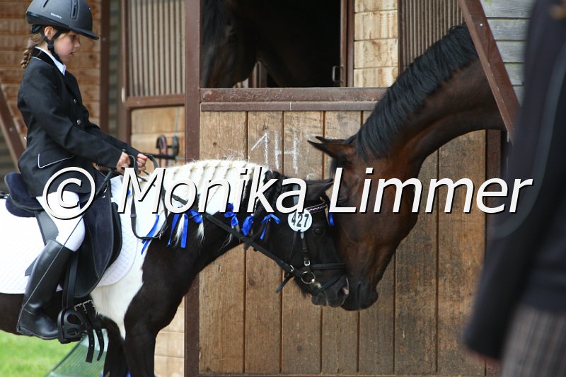 006M3860_Kenner Jasmin_Geigenreuth _2010.JPG